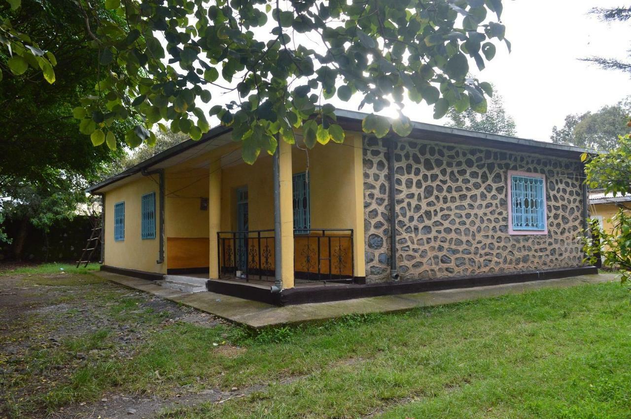 Chef Wondim Backpackers Hostel Gonder Exterior photo